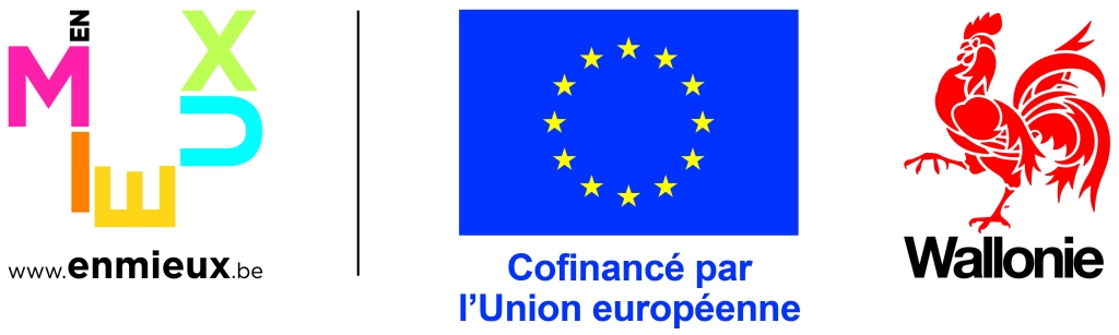 UE+Wallonie